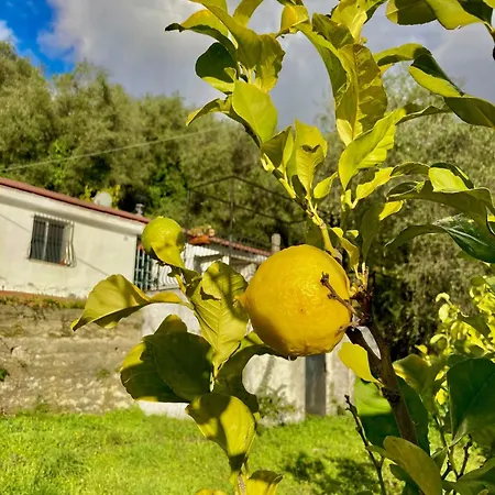 Charmantes Casa Uliveto Mit Terrasse Und Garten 度假居 *
