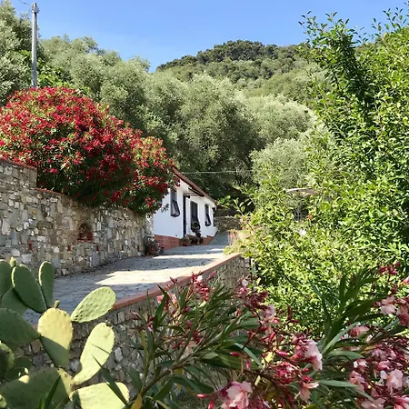 Дом отдыха Charmantes Casa Uliveto Mit Terrasse Und Garten *