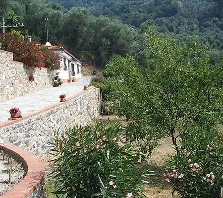 Charmantes Casa Uliveto Mit Terrasse Und Garten