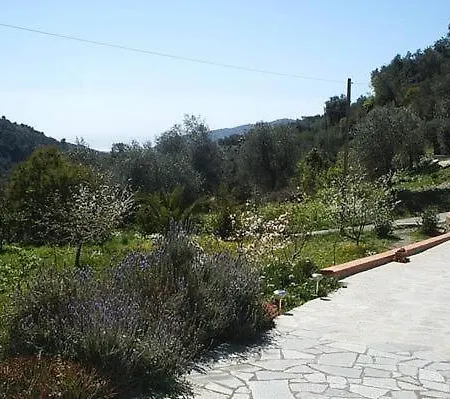 Charmantes Casa Uliveto Mit Terrasse Und Garten * Diano San Pietro